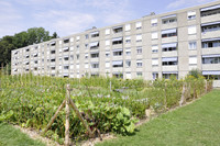<p>Die Gartenamtsleiterkonferenz (GALK) ist in Deutschland die Anlaufstelle für  Stadtgärtnereien und Gartenbauämter. An der Jahrestagung, die diesen Mai…</p>