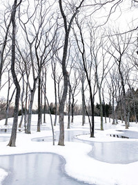 <p>Eine poetische Landschaft, der Art Biotop Water Garden in Tochigi, Japan, ist erster Preisträger des neuen internationalen Architekturpreises…</p>
