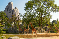 <p>Der von Grund auf neu gestaltete Zoo von Paris zeigt Tiere und Pflanzen in fünf «Regionen» als Lebensgemeinschaften. </p>