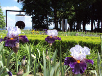 <p></p><p>In einem idyllischen Schlossgarten in Vullierens (VD) findet zurzeit die </p>
<p>58. Ausgabe der Floralies statt. Während dieser Blumenschau, die immer von…</p>