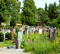 <p>Die diesjährige «Erfa-Tagung Friedhöfe» begrüsste ihre Teilnehmenden auf dem Friedhof Rosengarten in Aarau. Organisiert von der Arbeitsgruppe…</p>