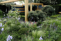 <p>An der Chelsea Flower Show, die Ende Mai in London über die Bühne ging, gestaltete der Schweizer Gartendesigner Daniel Auderset zusammen mit Nicole…</p>