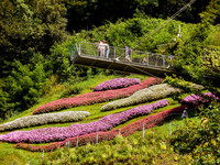 <p>Die Gärten von Schloss Trauttmansdorff in Meran sind ein botanisches Kaleidoskop.  Zudem sind sie eine der bedeutendsten Touristenattraktionen des…</p>