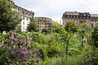 <p>In den Städten hält der Wunsch nach selbst gezogenem Gemüse und gärtnerischen Experimenten an. Wie «Urban Gardening» funktioniert und einen…</p>