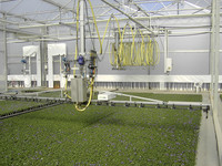 <p>Das pflanzliche Auge der Firma Phenospex aus Aachen gewann nicht «nur» den Deutschen Innovationspreis des Gartenbau 2011. Am vergangenen 15. September…</p>