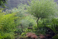 <p>Als im Herbst 2008 ein ­Bericht über Peter Jankes Garten «Hortvs» und seine Gärtnerei in der englischen Zeitschrift «Gardens Illus­trated» erschien,…</p>