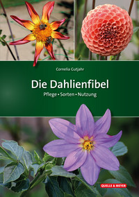 <p>Das neue Buch «Dahlienfibel» aus dem Verlag Quelle-Meyer widmet sich den unterschiedlichsten Dahliensorten sowie deren vielfältige Verwendung.</p>