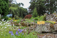 <p>Der Schulthess Gartenpreis 2019 geht an den alpinen Botanischen Garten in Meyrin bei Genf. Die umfassende Sanierung des Gartens der letzten Jahre hat…</p>