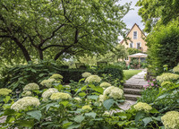 <p>Seit über einem Jahrzehnt gestaltet Alexander Koch ein grünes Refugium in Franken, das kürzlich zum «Garten des Jahres 2018» gewählt wurde. Die…</p>