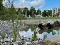 <p>Nach einer mehrjährigen Entwicklungs- und Bauphase wurde der zusammen mit der Quartierbevölkerung entwickelte Stadtteilpark Holligen Nord in Bern am…</p>
