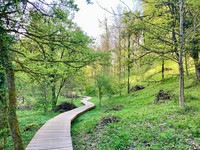 <p>Am südwestlichen Stadtrand, im sogenannten Totentäli, hat Stadtgrün Winterthur ein rund 54 ha grosses, zusammenhängendes Biodiversitätsgebiet…</p>