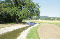 <p>Der «Alte Tych», Teil des alten Gewässersystems in den Langen Erlen, Riehen BS, wird ökologisch aufgewertet. In Zukunft wird dieses Gewässer in einem…</p>