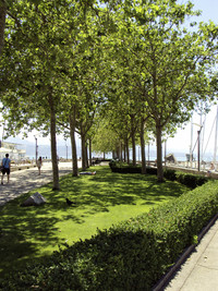 <p>Lausanne bleibt konsequent grün. Die waadtländische Stadt leistet bei der Grünflächenpflege Pionierarbeit im Bereich Energieeffizienz, Umweltschutz…</p>