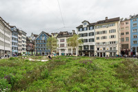 <p>Der Berner Oberländer Aktionskünstler Heinrich Gartentor gestaltete auf Einladung der Stadt Zürich ein temporäres Kunstwerk für den Münsterplatz. Die…</p>