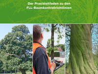 <p>Das Institut für Baumpflege Hamburg hat ein neues Praxishandbuch zum Thema «Verkehrssicherheit und Baumkontrolle» erarbeitet. Entstanden ist ein…</p>