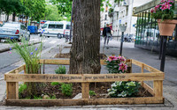 <p>Im Rahmen einer Grünoffensive der Stadtregierung können die Einwohnerinnen und Einwohner von Paris seit dem 1. Juli eine Lizenz zum Begrünen erwerben.…</p>