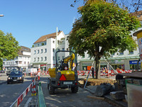 <p>Seit mehr als 80 Jahren schmückte ein Kastanienbaum den Lindenplatz in Dübendorf. Aufgrund einer Umgestaltung des Platzes, der seit einigen Jahren als…</p>