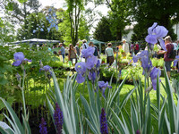 <p>Im stimmungsvollen Ambiente des Klosterparks St. Urban (LU) fand am 14. Juni 2015 der 7. Pflanzenraritätenmarkt statt. Bei strahlendem Sonnenschein…</p>