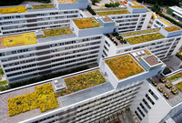 <p>Ende Oktober fand an der Zürcher Hochschule für Angewandte Wissenschaft ZHAW in Wädenswil die Internationale Fachtagung Dachbegrünung zum Thema…</p>