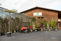 <p>Seit diesem Frühling hat die Wüthrich Pflanzen AG in Amriswil/Hatswil eine neue Inhaberin. Nicole Soller, Gärtnerin und Umweltingenieurin, übernimmt…</p>