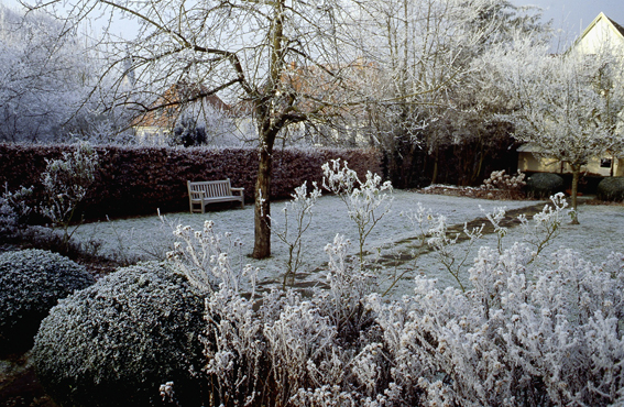 Ein Garten der auch im Winter