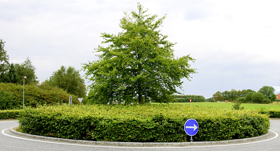  Die flächendeckend mit