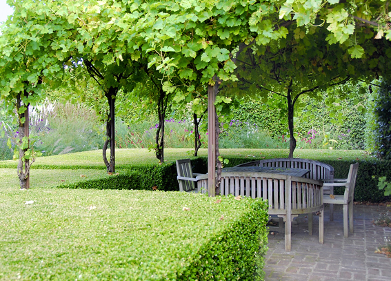 Sitzplatz in einer Weinlaube