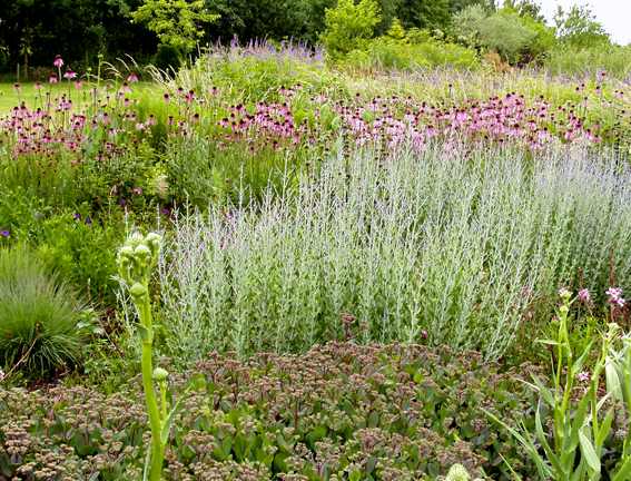 Eine Staudenrabatte in Wisley