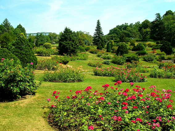 Die Roseraie de la Vallée