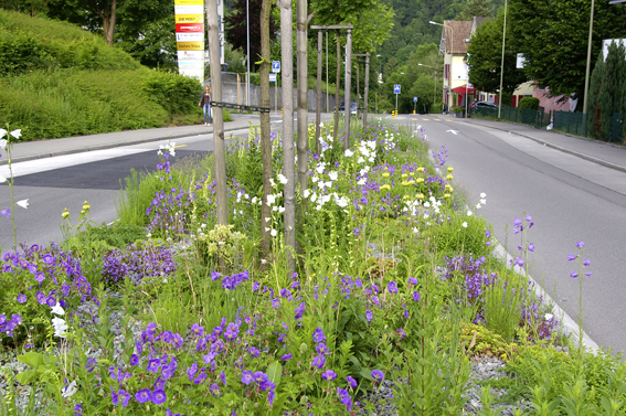 Verkehrsteiler Gattikon.