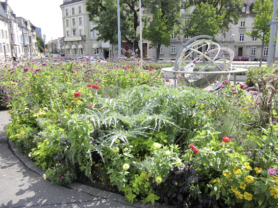  Wechselflorpflanzung am