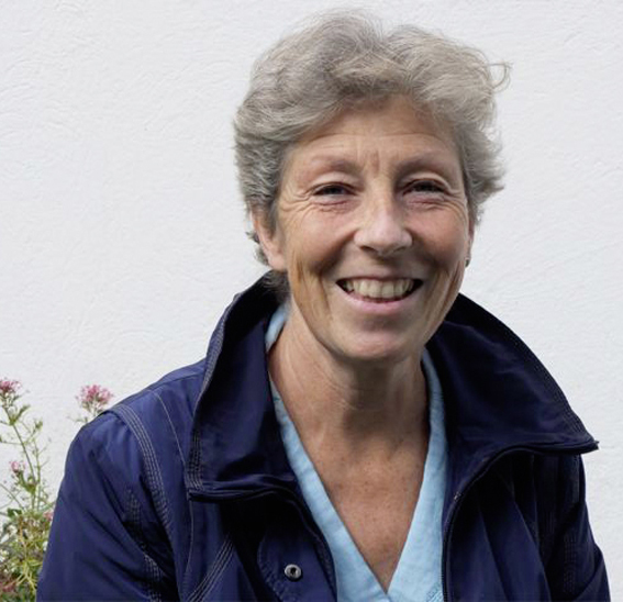 Barbara Schwickert, Direktorin