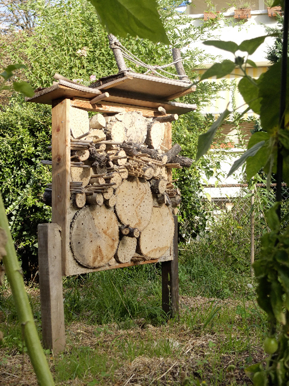 Wildbienenhaus im Gemeinschafts­g