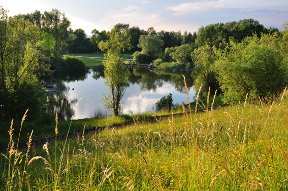Teich im naturnah gestalteten
