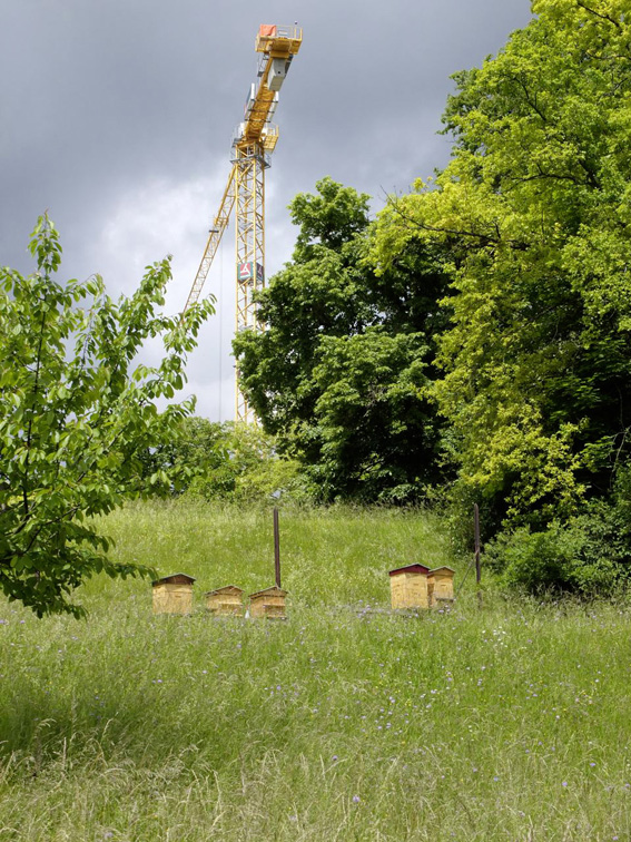 Bienenhäuschen im Schwarzpark