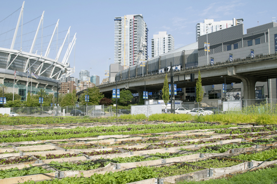 Vancouver: Urbane Farm –